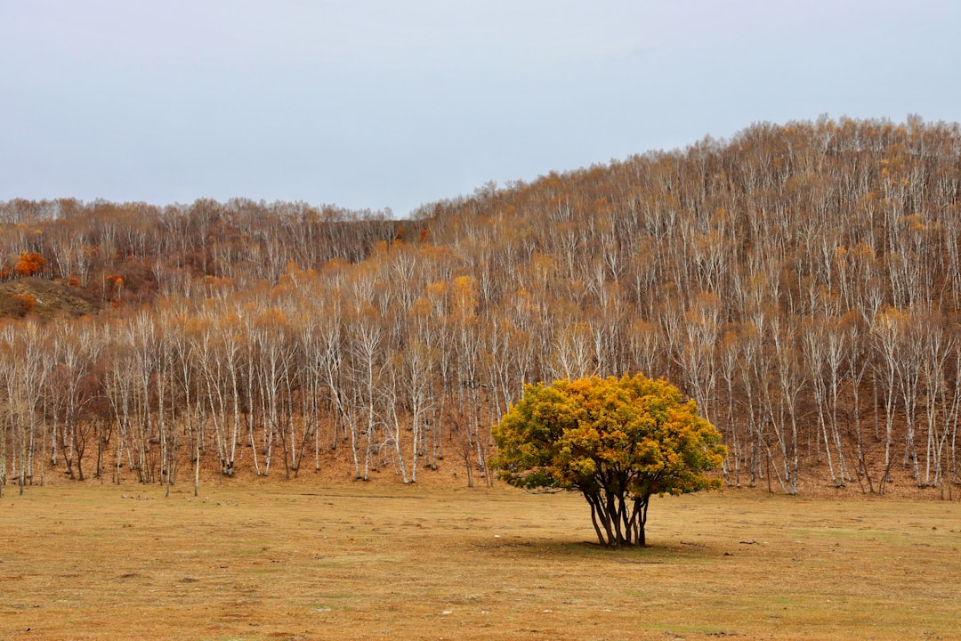 Embracing the Wild: Finding Adventure in the Great Outdoors